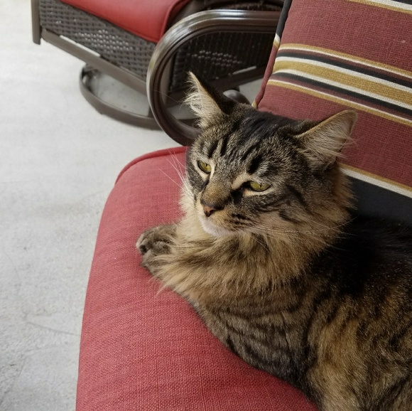 Meet your Posher, Jaime - Picture 13 of 16